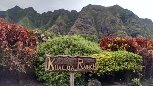 wp-1415425687828 image