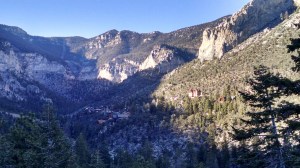 IMG_20141126_141028579_HDR.jpg image