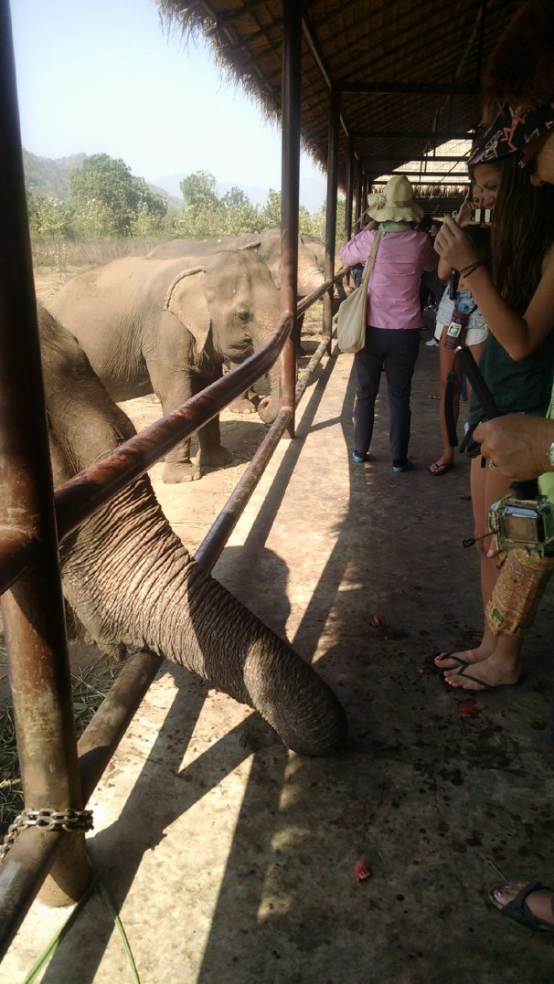 IMG_20150116_193926269.jpg image