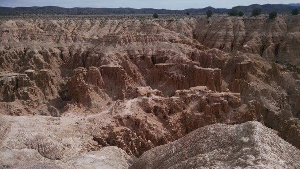 IMG_20150321_102647708.jpg image