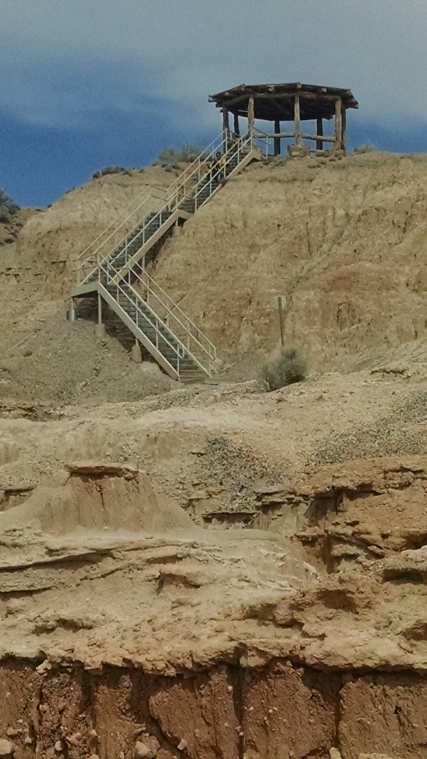 IMG_20150321_103116471.jpg image