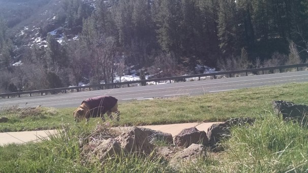 IMG_20150322_104906248.jpg image