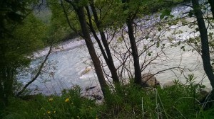 IMG_20150602_191451467