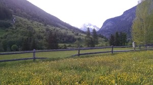 IMG_20150602_194503155