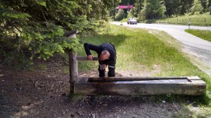 IMG_20150603_144807898_HDR