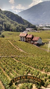 IMG_20150604_124944631_HDR