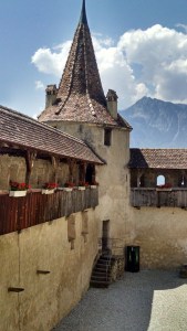 IMG_20150604_125336387_HDR