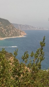 IMG_20150611_155510467