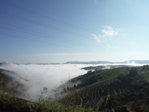 Douro Valley, Portugal