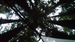 FB_IMG_1443809510471