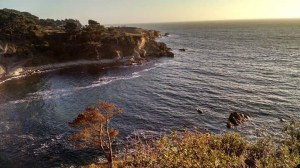 FB_IMG_1443809551318