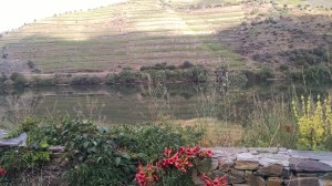 IMG_20150616_093811782