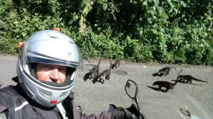 IMG_20170212_094220798