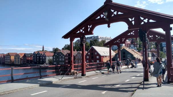 IMG_20190730_114437193_HDR