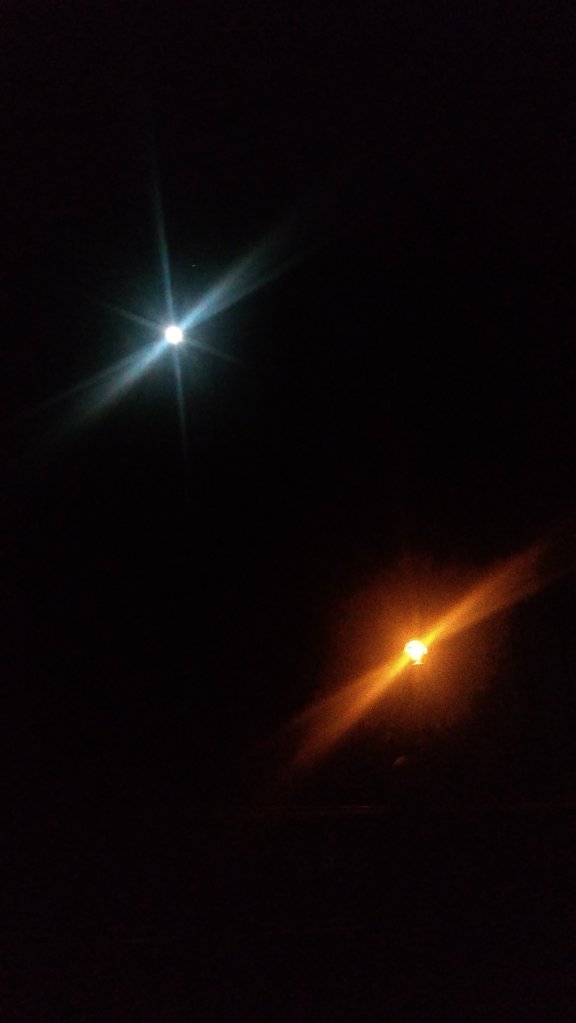 Blue Moon and a Tiki Torch